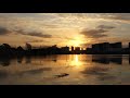 朝日のあたる家/アニマルズ