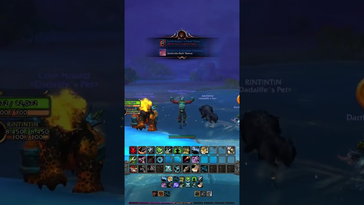 World of Warcraft The War Within Beastmastery Hunter 