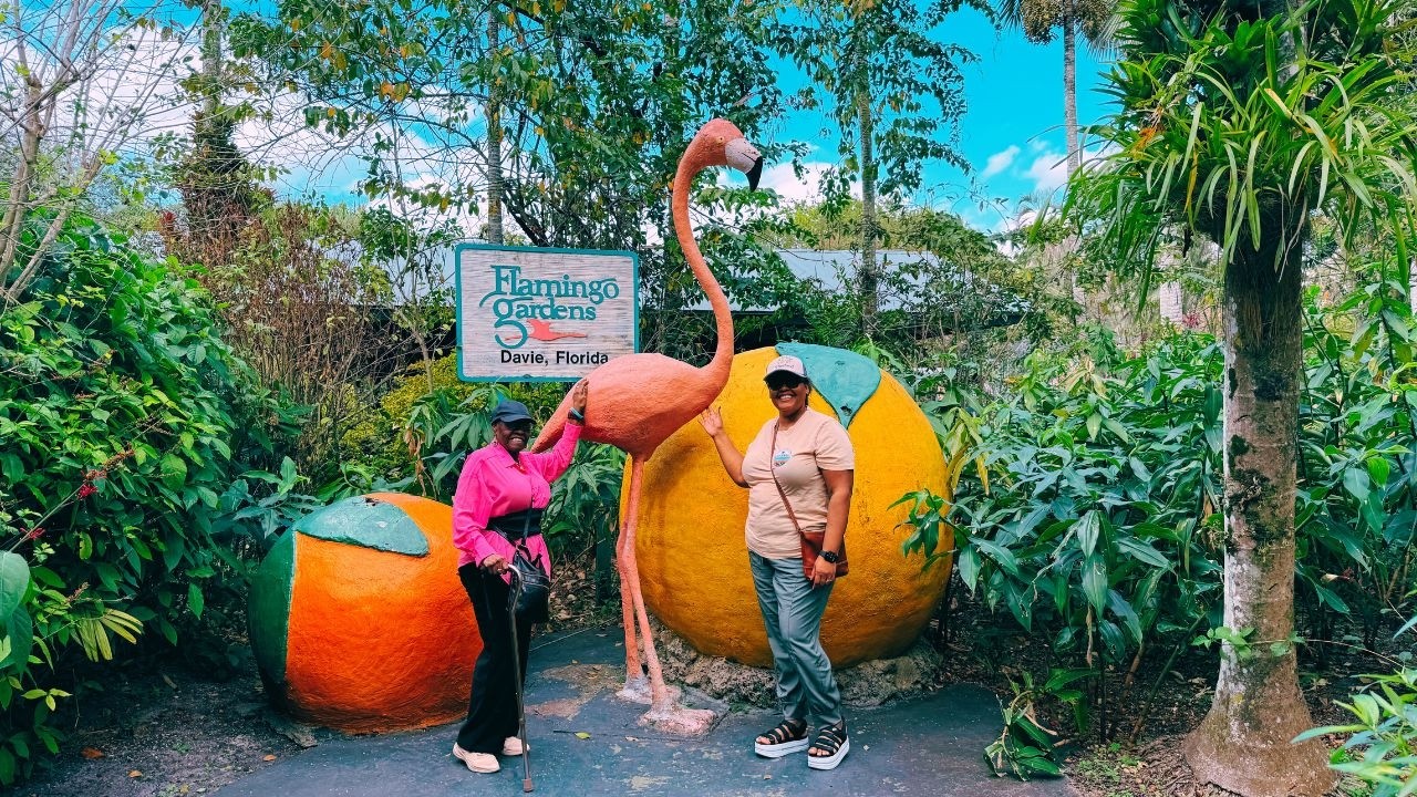 Day 45: Immaculate Vibes & Much Needed Vitamin D ☀️ 365 Vlog Challenge