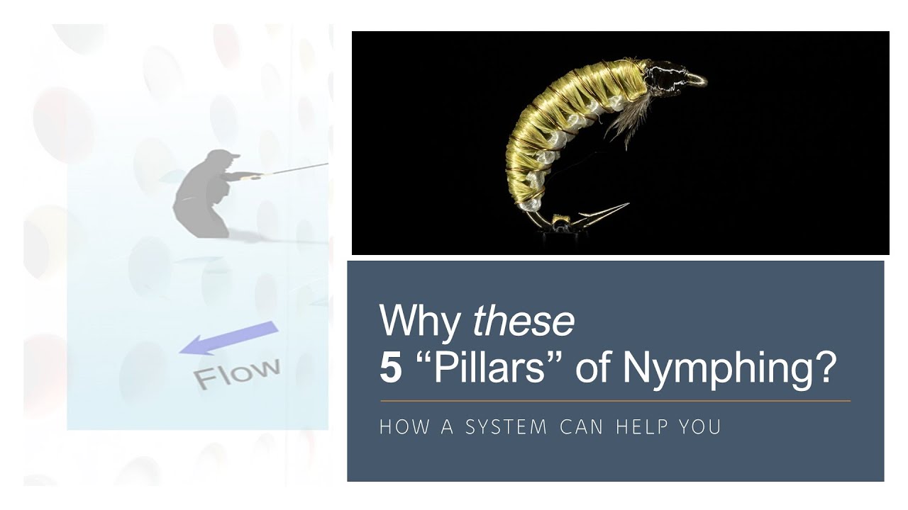 5 Most Overlooked (but essential) Pillars of Nymph Fishing?