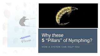 5 Most Overlooked (but essential) Pillars of Nymph Fishing