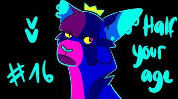 [SPLIT I] HALF YOUR AGE // ANYTHING 72H PMV COLOR PALETTE MAP // PART 16