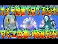 カメラ放置！見ているだけのセビエ色違い厳選方法！【ポケモンSV】