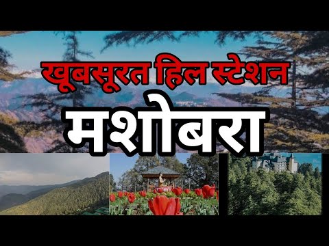 खूबसूरत नजारों से भरपूर मशोबरा बरसो याद रहेगा ,जरूर आए