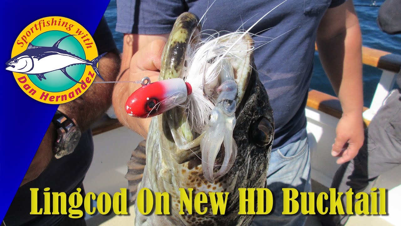 Lingcod on the New HD B52 Bucktail Jig