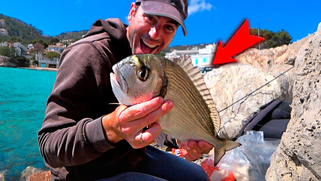 ¡¡El REY DORADAS con PAN HA VUELTO!! La historia se repite... [PESCANDO a BOYA con PAN]