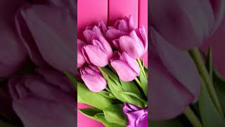 𝑨𝒔𝒔𝒂𝒍𝒐𝒎𝒖 𝒂𝒍𝒂𝒚𝒌𝒖𝒎 !💐💐💐 8-𝒎𝒂𝒓𝒕 𝒃𝒊𝒍𝒂𝒏 𝒄𝒉𝒊𝒏 𝒅𝒊𝒍𝒅𝒂𝒏 𝒕𝒂𝒃𝒓𝒊𝒌𝒍𝒂𝒚𝒎𝒂𝒏💝#shorts @gifts0606