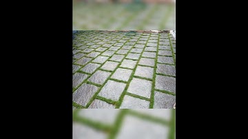 Star tech Interlock tiles 9846878712