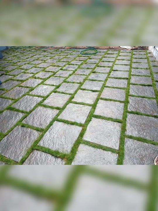 Star tech Interlock tiles 9846878712