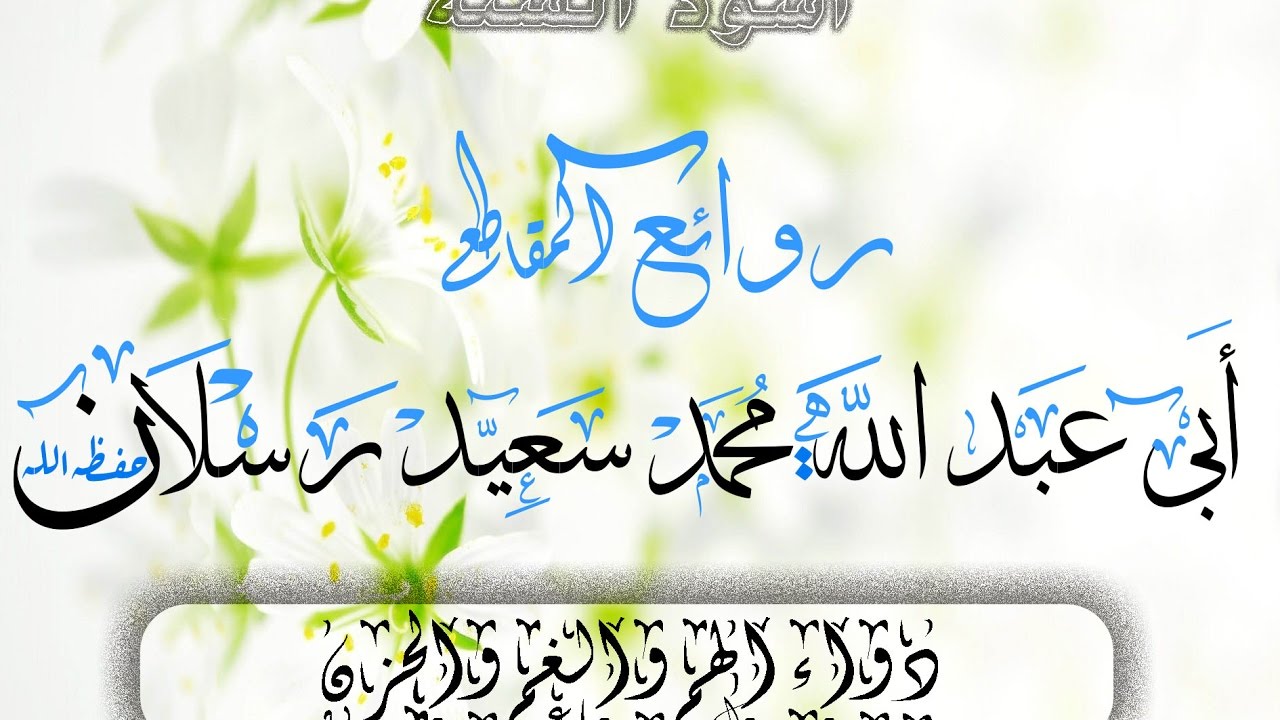 دواء الهم والغم والحزن |الشيخ محمد سعيد رسلان .