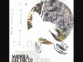 Northstar blues - MAGNOLIA ELECTRIC CO.