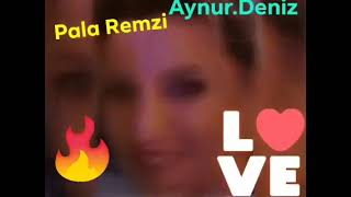 Pala Remzi