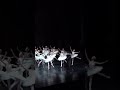 新国立劇場バレエ団『白鳥の湖』第2幕 | The entrance of the swans—The National Ballet of Japan’s corps de ballet