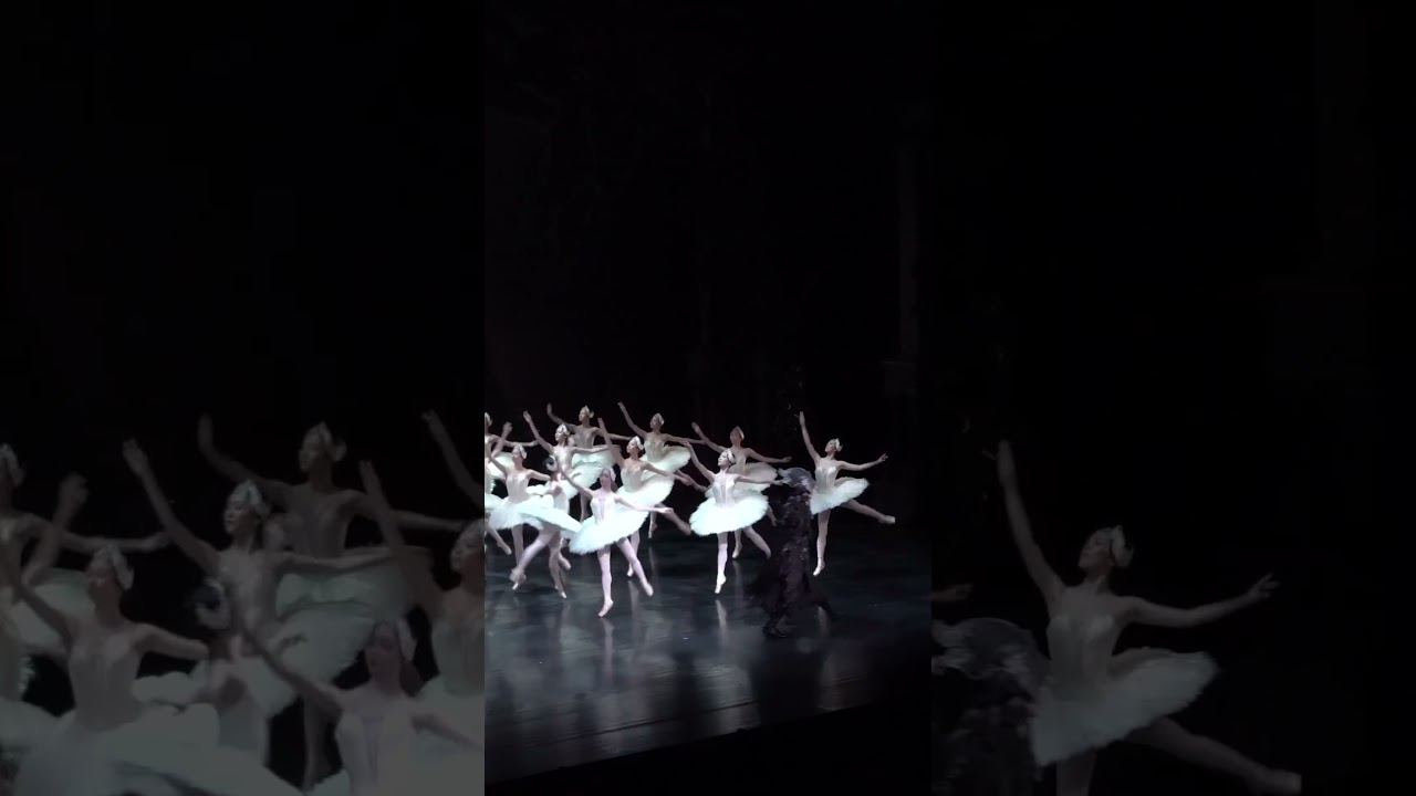 新国立劇場バレエ団『白鳥の湖』第2幕 | The entrance of the swans—The National Ballet of Japan’s corps de ballet