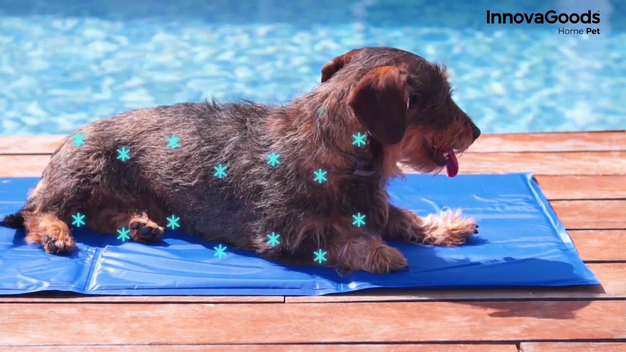 Tappetino Rinfrescante Per Cani Di Grossa Taglia 90 X 50 Cm