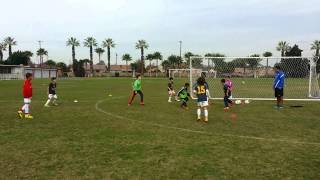 TFA U-10 Training