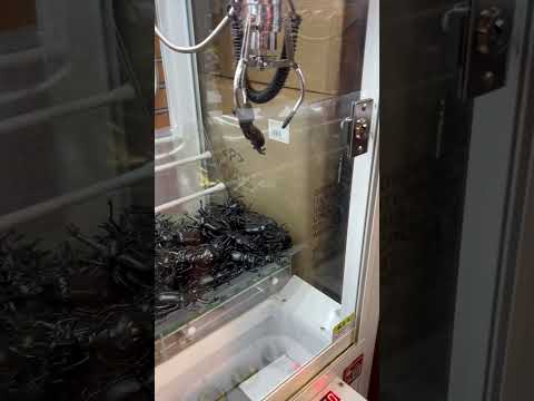 クレーンゲーム おもちゃのクワガタ カブトムシ ナイスキャッチ