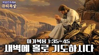 [큐티인]묵상 마가복음 1:35~45 새벽에 홀로 기도하시다
