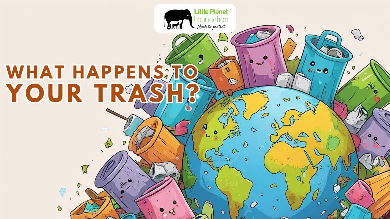 🌍 What Happens to Your Trash? 🗑️ 