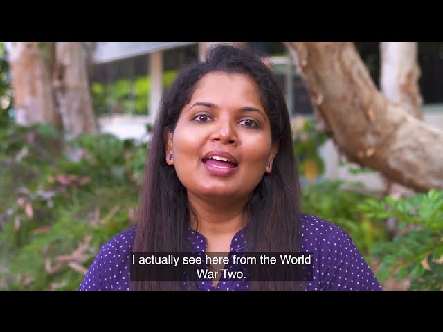 Hear more from CDU student Kalyani, from India