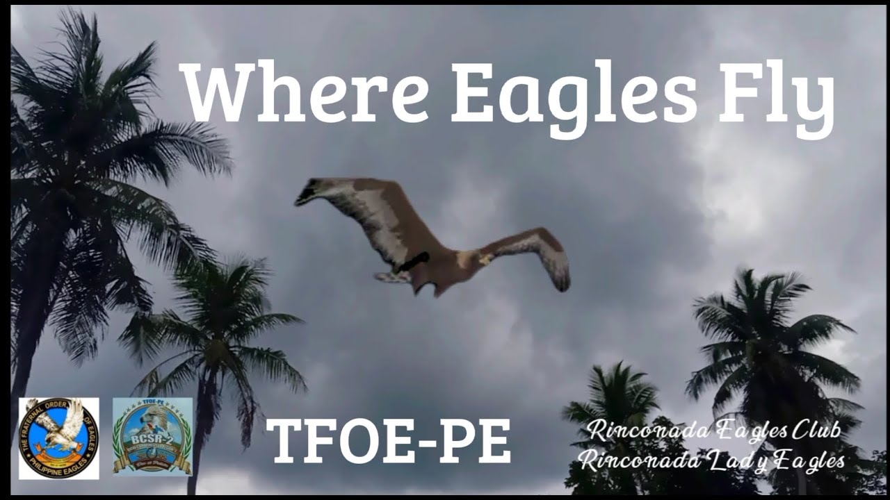 Where Eagles Fly TFOE  Philippine Eagles #cherryboterph #philippineeagles WhereEaglesFly