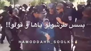 لو حبيتو فلسطين زي ما حبيتو الببجي??أجمل حالات الواتس اب 2019 فلسطين حرة ابية ????