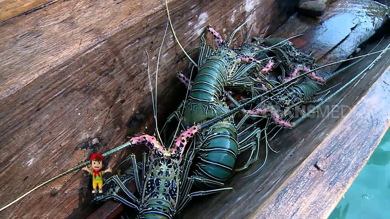 BOCAH PETUALANG | CERITA ANAK BUMI ANDALAS DAN CELEBES (05/09/18) 2-3