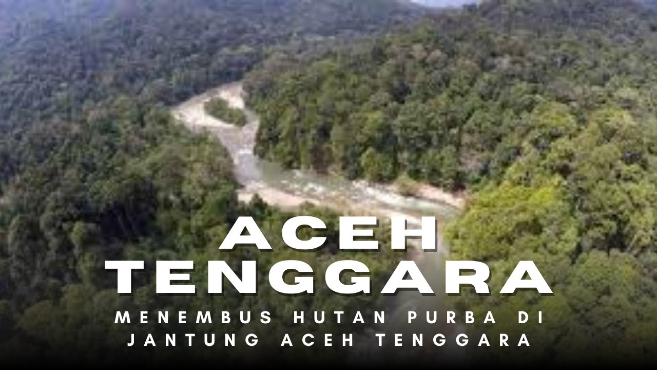 Aceh Tenggara: Jantung Leuser, Benteng Terakhir Satwa Langka Dunia