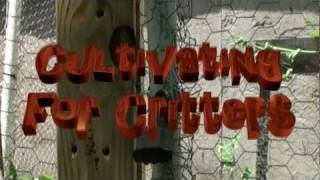 Cultivating for Critters EP17 - Locksmith @BBHouseRodent