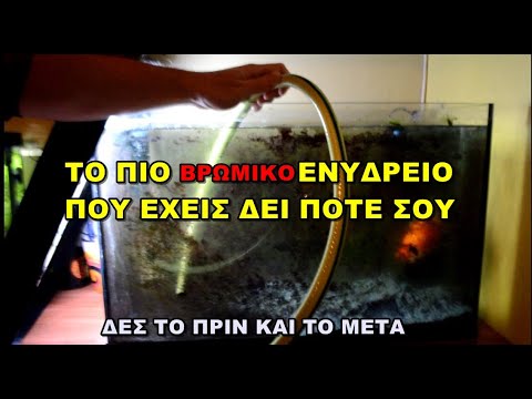 Βίντεο: Πώς να καθαρίσετε το χώμα σε ένα ενυδρείο