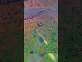 R.E.A.P MODDED DAYZ SERVER MINECRAFT  #minecraft #moddedminecraft