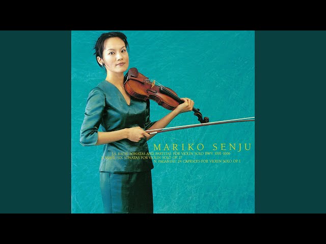 西独プレス マイケル・レビン ヴァイオリン協奏曲 ソナタ集〈6枚組〉 マイケル・レビンの芸術（14CD） | HMV&BOOKS online - SC825