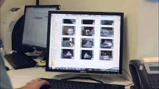 Video Conversion with EverPresent