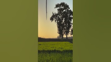 تلاوة قصيرة مؤثرة | الشيخ محمود خليل الحصري | رحمه الله  سورة النساء #الحصري #سورة_النساء #قرآن