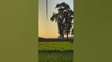 تلاوة قصيرة مؤثرة الشيخ محمود خليل الحصري رحمه الله سورة النساء الحصري سورة النساء قرآن 