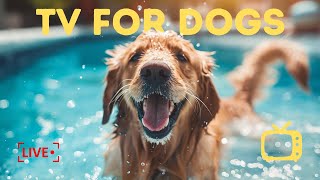 Soothing Music for Anxious Dog! 10 Hours Dog TV & Cure Separation Anxiety of Dogs With Relax Music by Relax My Dogs 224 views 2 days ago 10 hours