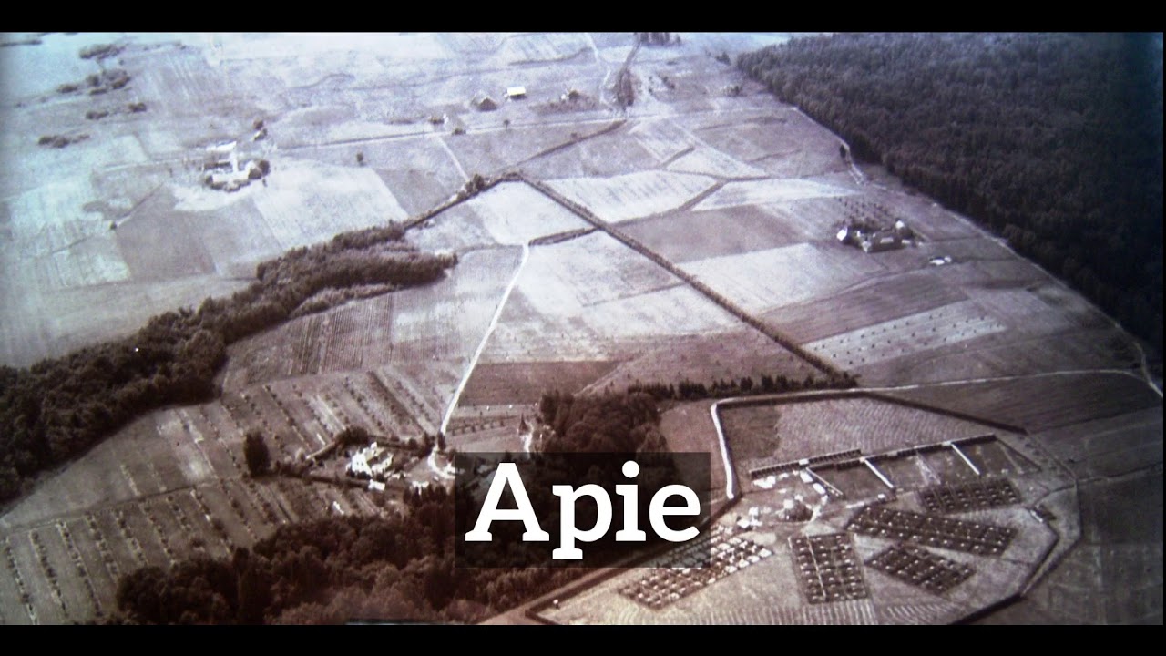 How to Say Apie in English? | What is Apie? | How Does Apie Look? - YouTube
