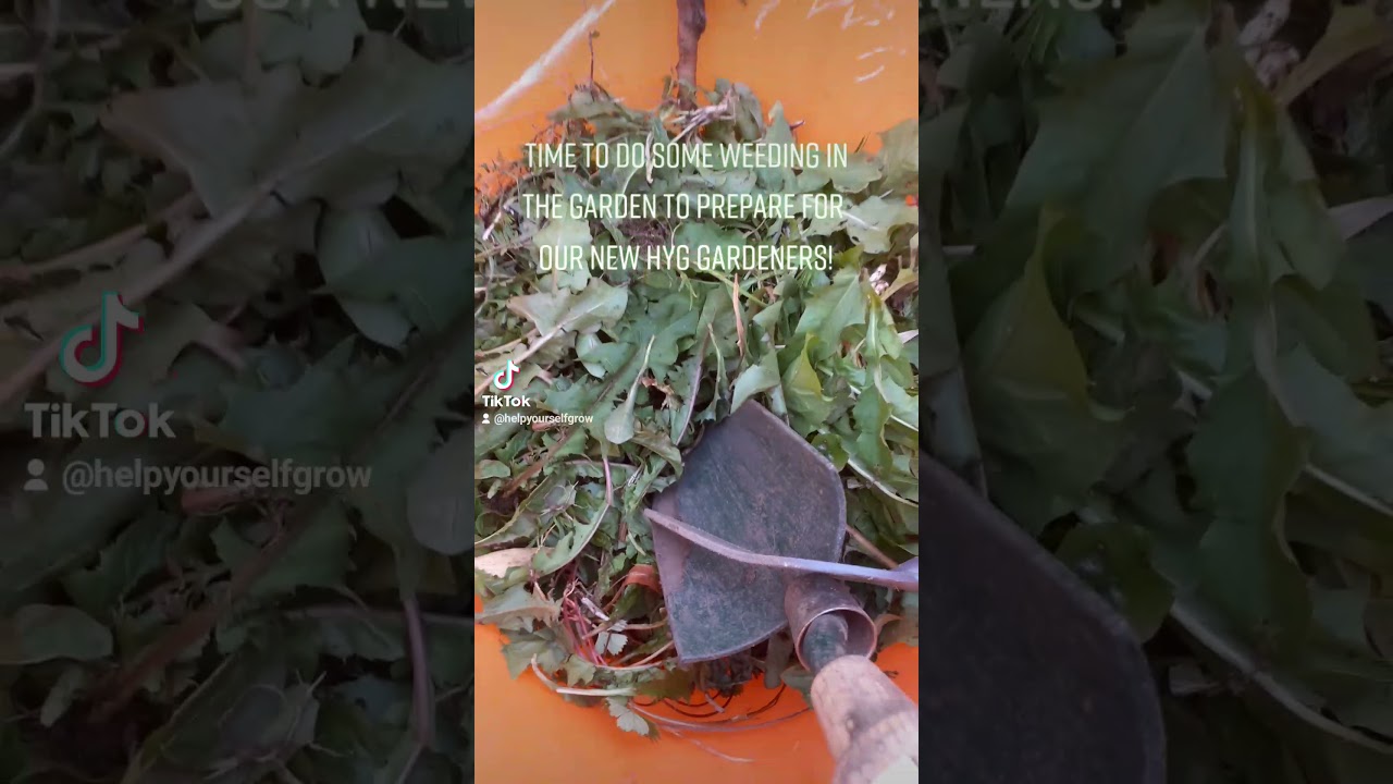 Preparing the Garden for the new Gardener.