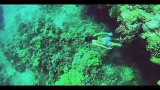 Freediving the Deep Blue