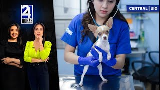 Noticias, lunes 26 de enero del 2026 | 24 Horas | Quito