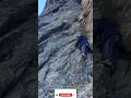 Mountain Life Is Not Easy Here We Have A Lot Of Problems Village Life 