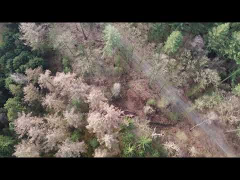Droneflight DJI mini 2 Veluwe (Putten)