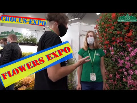 Бейне: Flowers Expo - ашылулар көрмесі