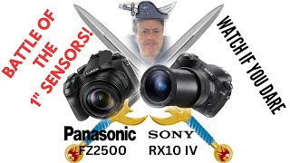 Sony RX10IV vs Panasonic FZ2500- The best superzoom is.......