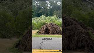 Tree crashes onto Rossville home during Georgia flooding