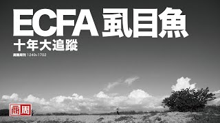 後來怎麼了？ECFA十年，重返台南學甲虱目魚之鄉 ｜ECFA十年