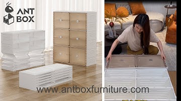 Antbox amazon footwear stand