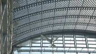 Festo Smart Bird
