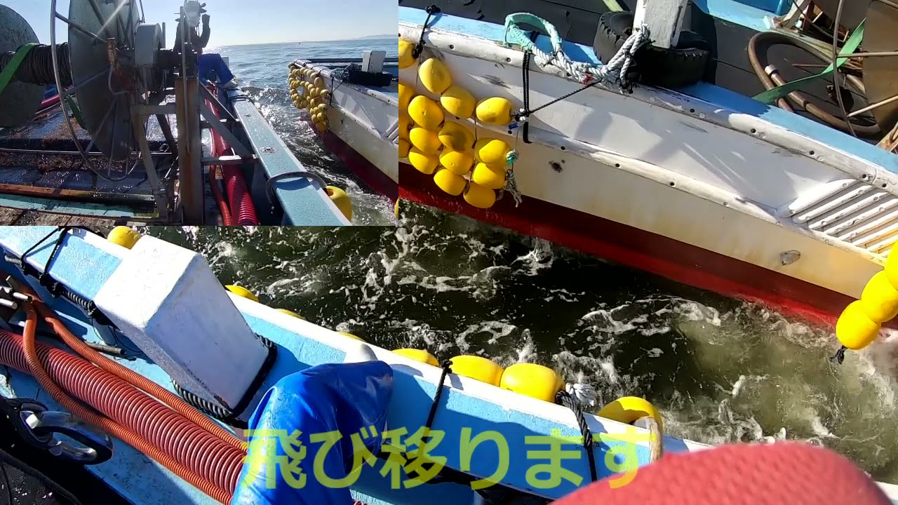 【忙しい人のための】伊勢湾イワシ船びき網漁業