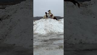 さすが男の子だわ・・